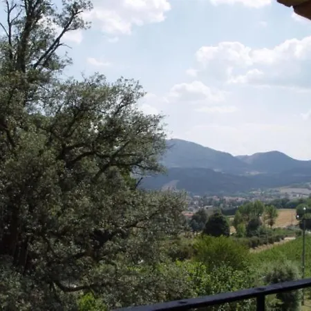 Le Vigne Di Pace *